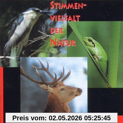 Stimmenvielfalt der Natur