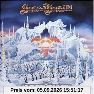 The Ancient Forest of Elves