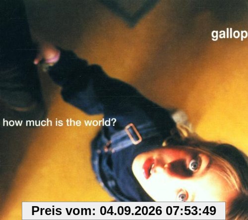 How Much Is the World?
