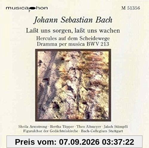 Hercules auf dem Bwv 213 / Konze