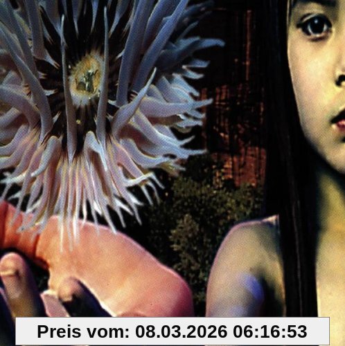 Future Sound of London Lifeforms