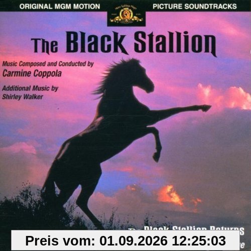 Black Stallion