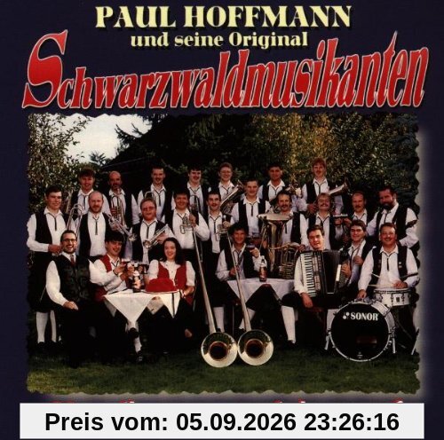 Musikanten Spielen auf