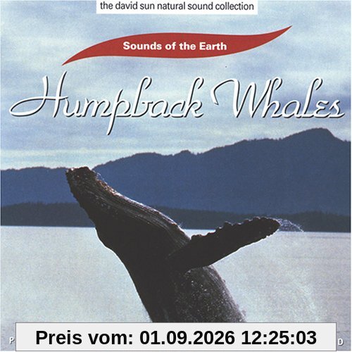 Humpback Whales