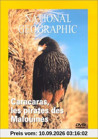 National Geographic : Caracaras, la terreur des Malouines [FR Import]