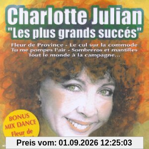 Les Plus Grands Succes