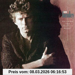Don Henley Building The Perfect Beast