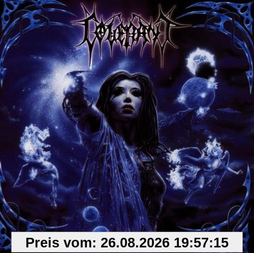 Nexus Polaris