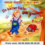 Ein Kleiner Käfer Geht Spazieren