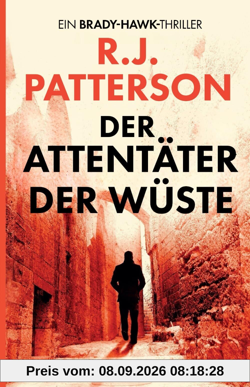 Der Attentäter der Wüste (Ein Brady-Hawk-Thriller, Band 1)