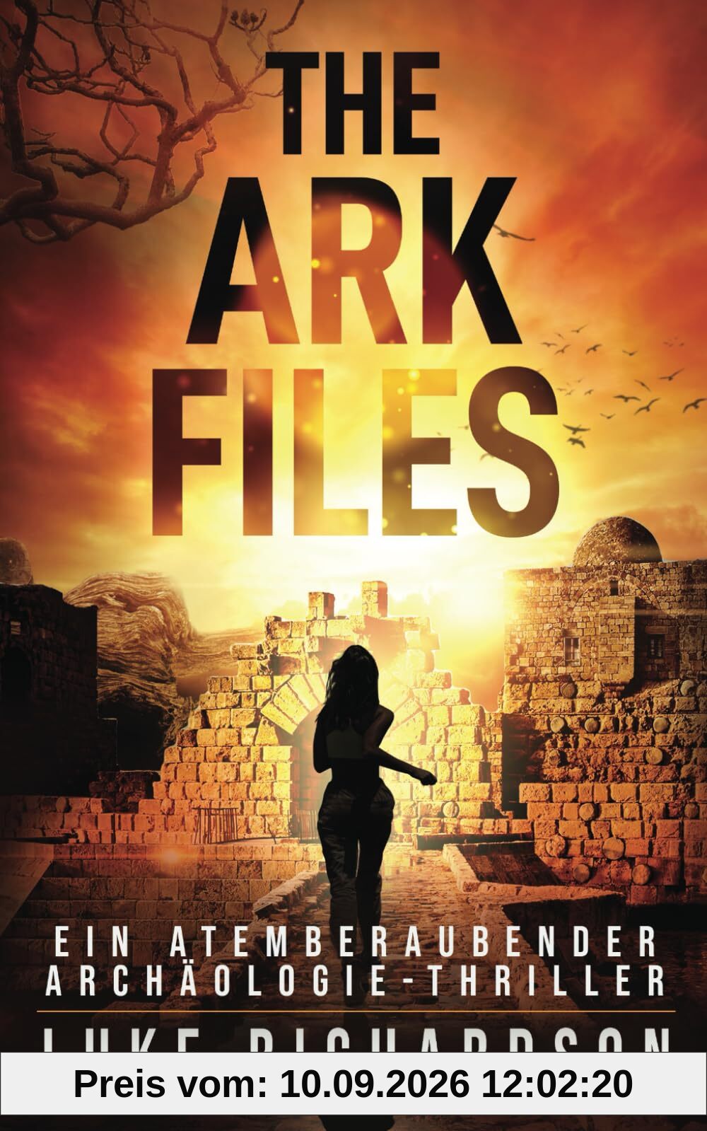 The Ark Files: Ein Atemberaubender Archäologie-Thriller (Eden Black Archäologie-Thriller, Band 1)