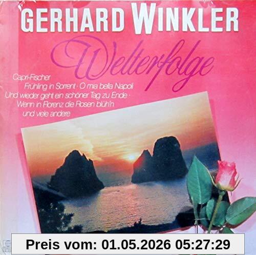 Welterfolge [Vinyl LP] [Schallplatte]