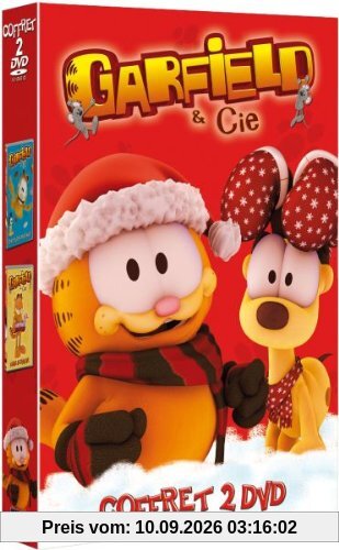 Garfield et compagnie ; chat plane pour moi ; chaleur du foyer [FR Import]