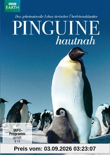 Pinguine hautnah