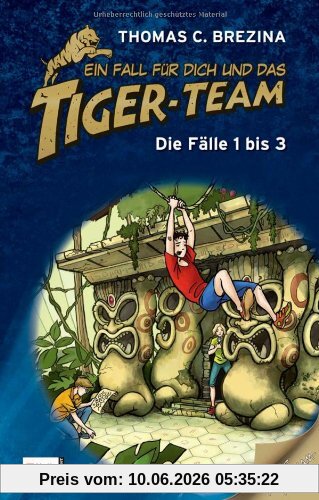 Tiger-Team, Sammelband 01: Die Fälle 1 bis 3