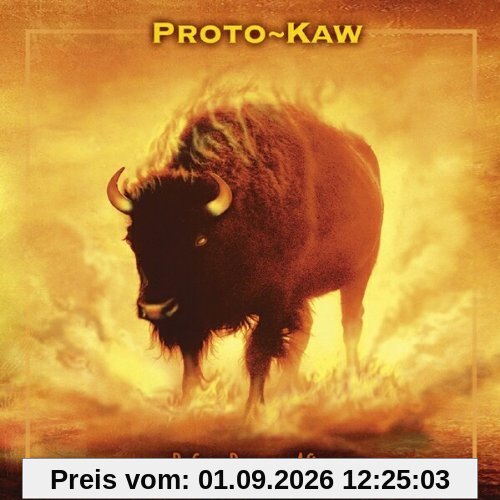 Proto-Kaw - Before Became After