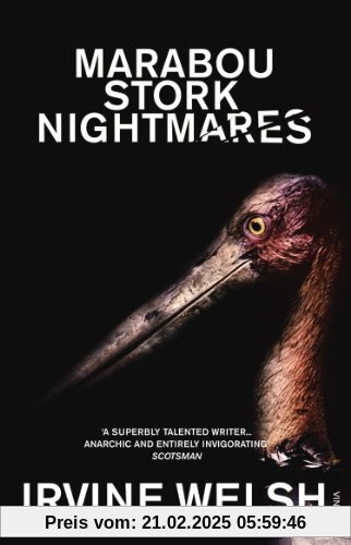 Marabou Stork Nightmares