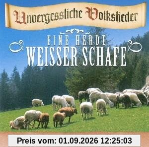 Eine Herde Weisser Schafe