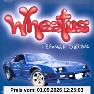 Teenage Dirtbag