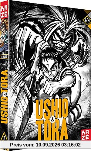 Coffret ushio et tora, vol. 1, 13 épisodes [FR Import]