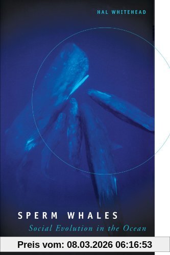 Hal Whitehead Sperm Whales, Social Evolution In The Ocean