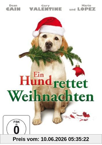 Ein Hund rettet Weihnachten