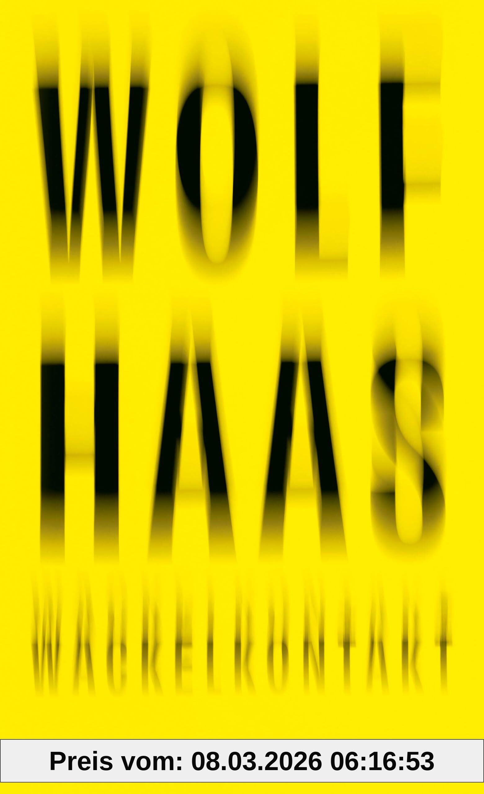 Wolf Haas Wackelkontakt, Roman