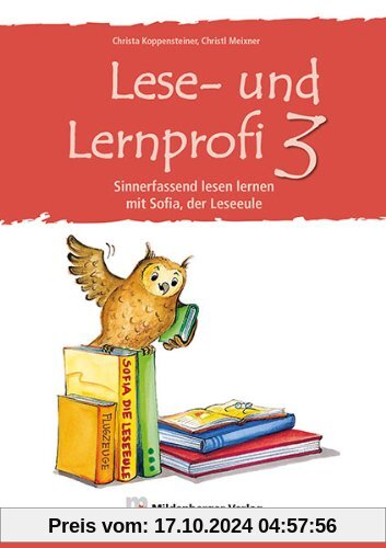 Lese-u.Lernprofi 3: Sinnerfassend lesen lernen mit Sofia, der Lese-Eule, Arbeitsheft