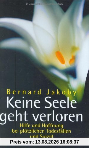 Keine Seele geht verloren: Hilfe und Hoffnung bei plötzlichen Todesfällen und Suizid