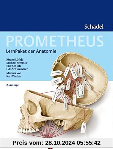 PROMETHEUS LernPaket Anatomie Schädel