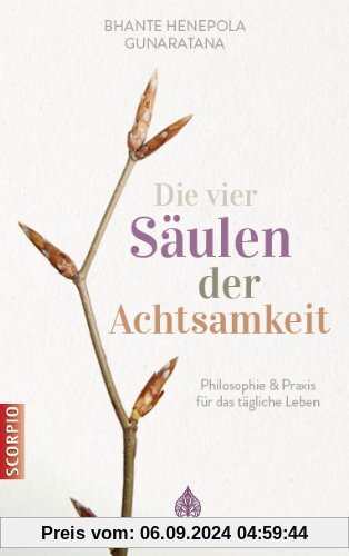 Die vier Säulen der Achtsamkeit: Philosophie & Praxis für das tägliche Leben