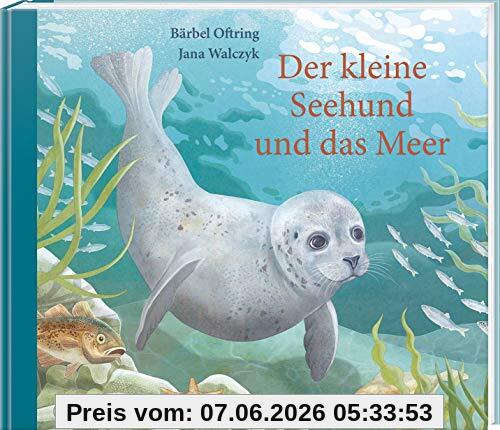 Der kleine Seehund und das Meer