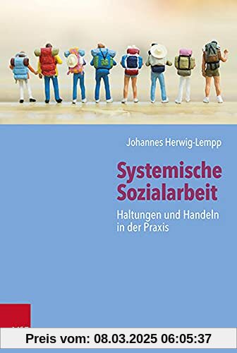 Systemische Sozialarbeit: Haltungen und Handeln in der Praxis