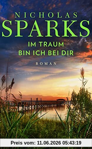 Im Traum bin ich bei dir: Roman
