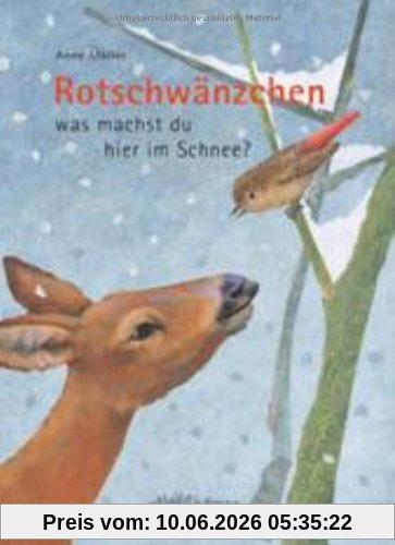 Rotschwänzchen - was machst du hier im Schnee?