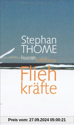 Fliehkräfte: Roman