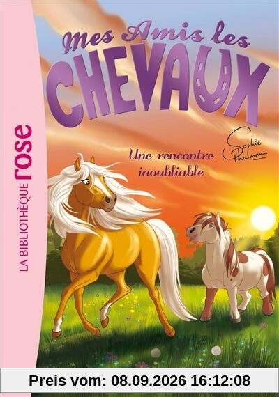 Mes amis les chevaux. Vol. 6. Une rencontre inoubliable