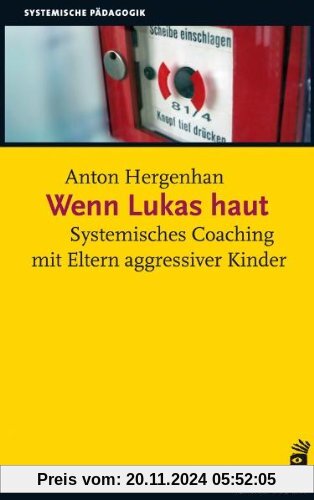 Wenn Lukas haut: Systemisches Coaching mit Eltern agressiver Kinder