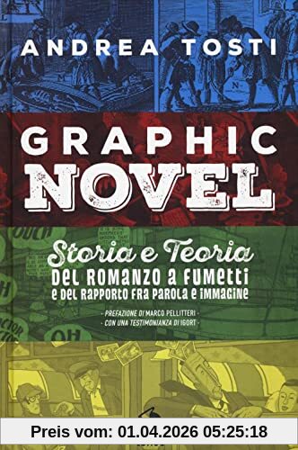 Graphic novel. Storia e teoria del romanzo a fumetti e del rapporto fra parola e immagine (Lapilli giganti)