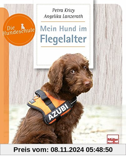 Mein Hund im Flegelalter (Die Hundeschule)