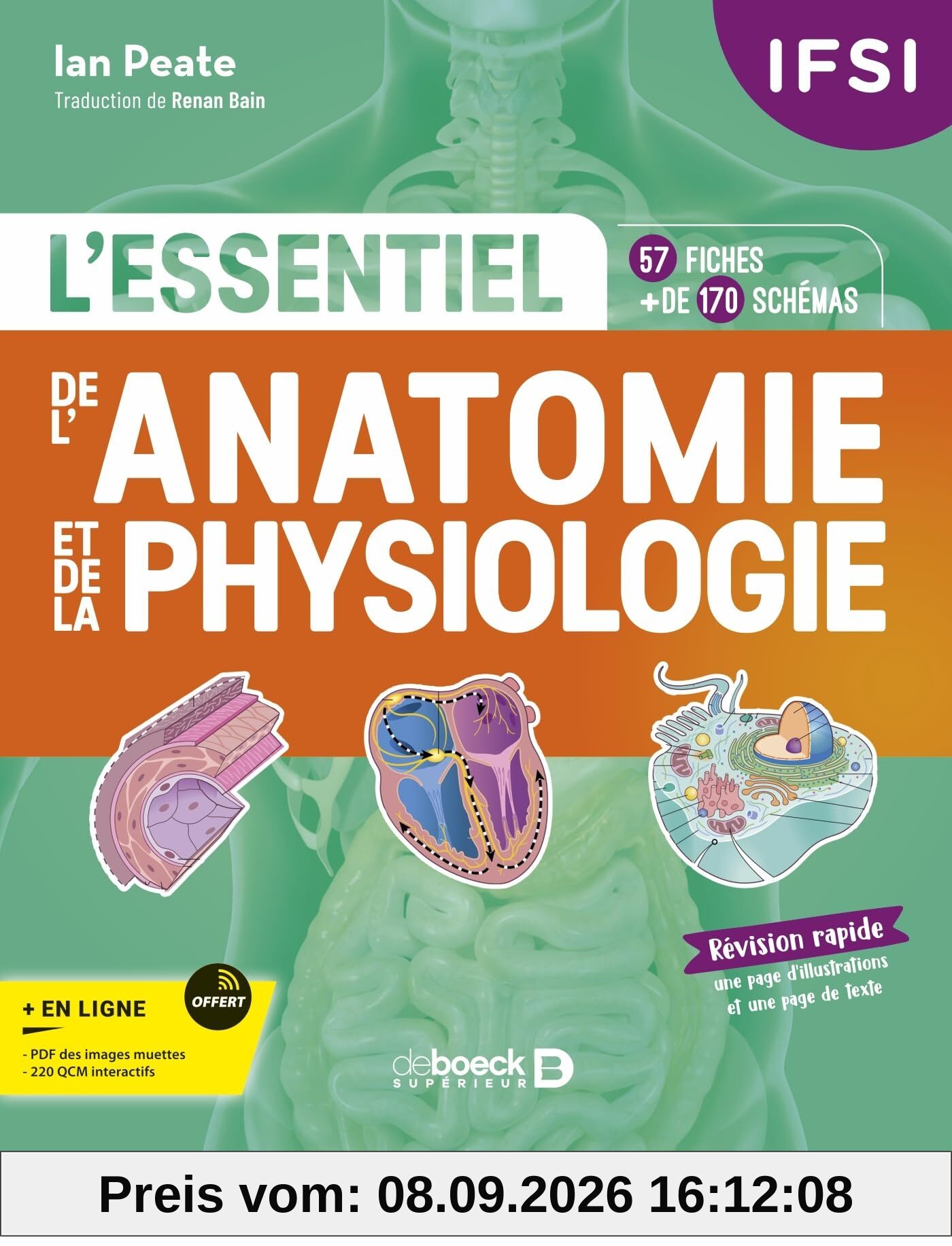 L'essentiel de l'anatomie et de la physiologie : IFSI