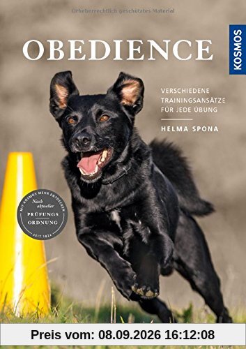 Obedience: Verschiedene Trainingsansätze für jede Übung