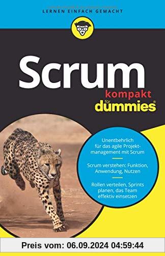 Scrum kompakt für Dummies