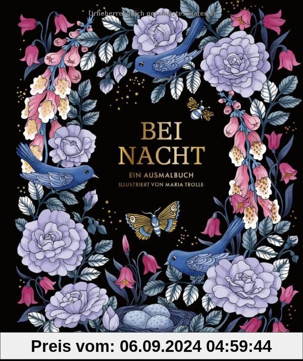 Bei Nacht – Ein Ausmalbuch