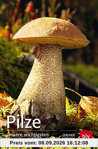 Pilze: Unsere wichtigsten Speise- und Giftpilze