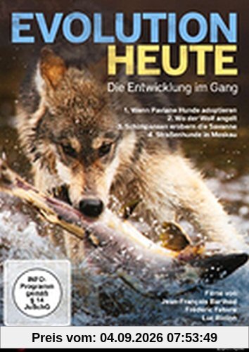 Evolution heute: Die Entwicklung im Gang