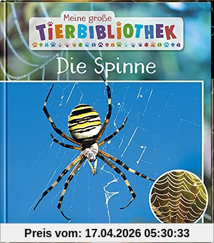 Meine große Tierbibliothek: Die Spinne: Sachbuch für Vorschule & Grundschule