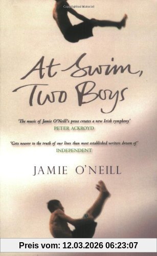 Jamie O'Neill At Swim, Two Boys