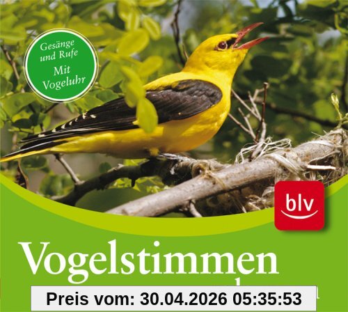 CD Vogelstimmen erkennen. Audio-CD: Gesänge und Rufe der 75 häufigsten Arten mit farbigem Begleitheft