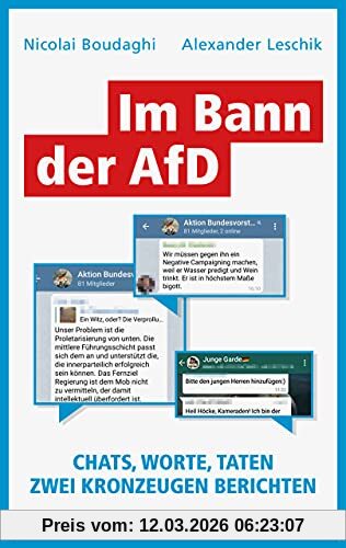 Nicolai Boudaghi Im Bann Der AfD, Chats, Worte, Taten – Zwei Kronzeugen Berichten